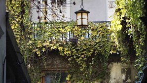 An outdoor dining area with a table set for two, surrounded by ivy-covered walls and a wooden door. - Antique Apartments Old Town (Kraków)