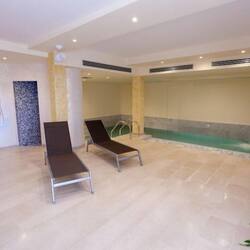 Sauna, hot tub, steam room, Turkish bath/hammam, body treatments