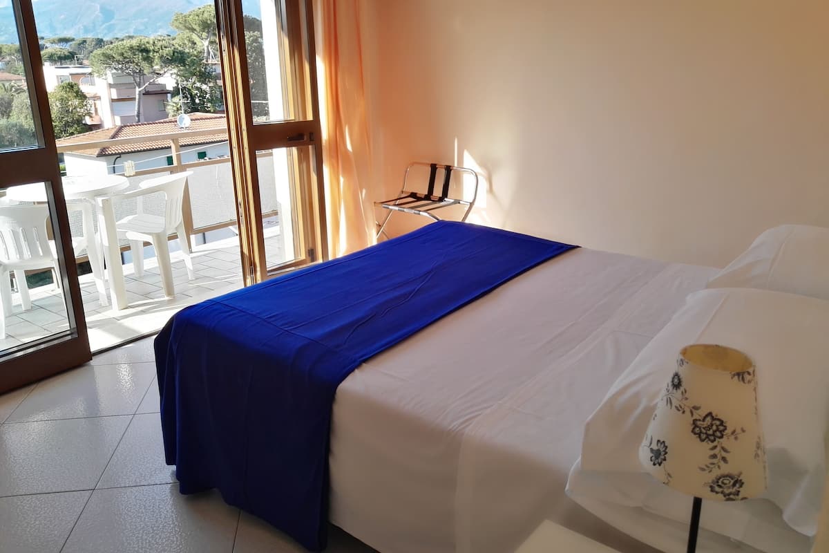 classic double room | minibar, in-room safe, desk, blackout curtains