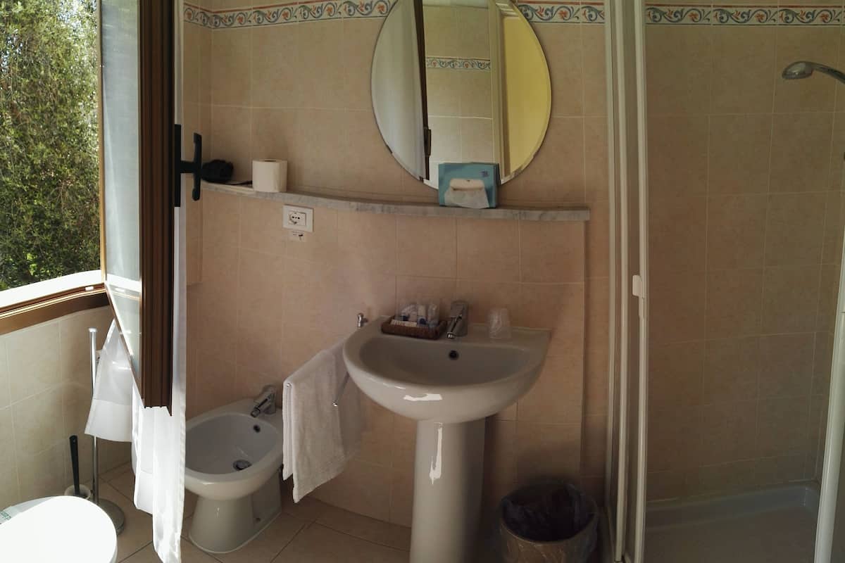 economy double room single use | bathroom | shower, free toiletries, hair dryer, bidet