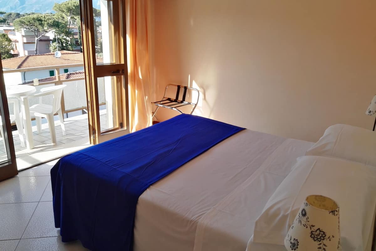 classic double room | minibar, in-room safe, desk, blackout curtains