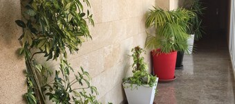 CAPITOLIO Apartamentos Turísticos