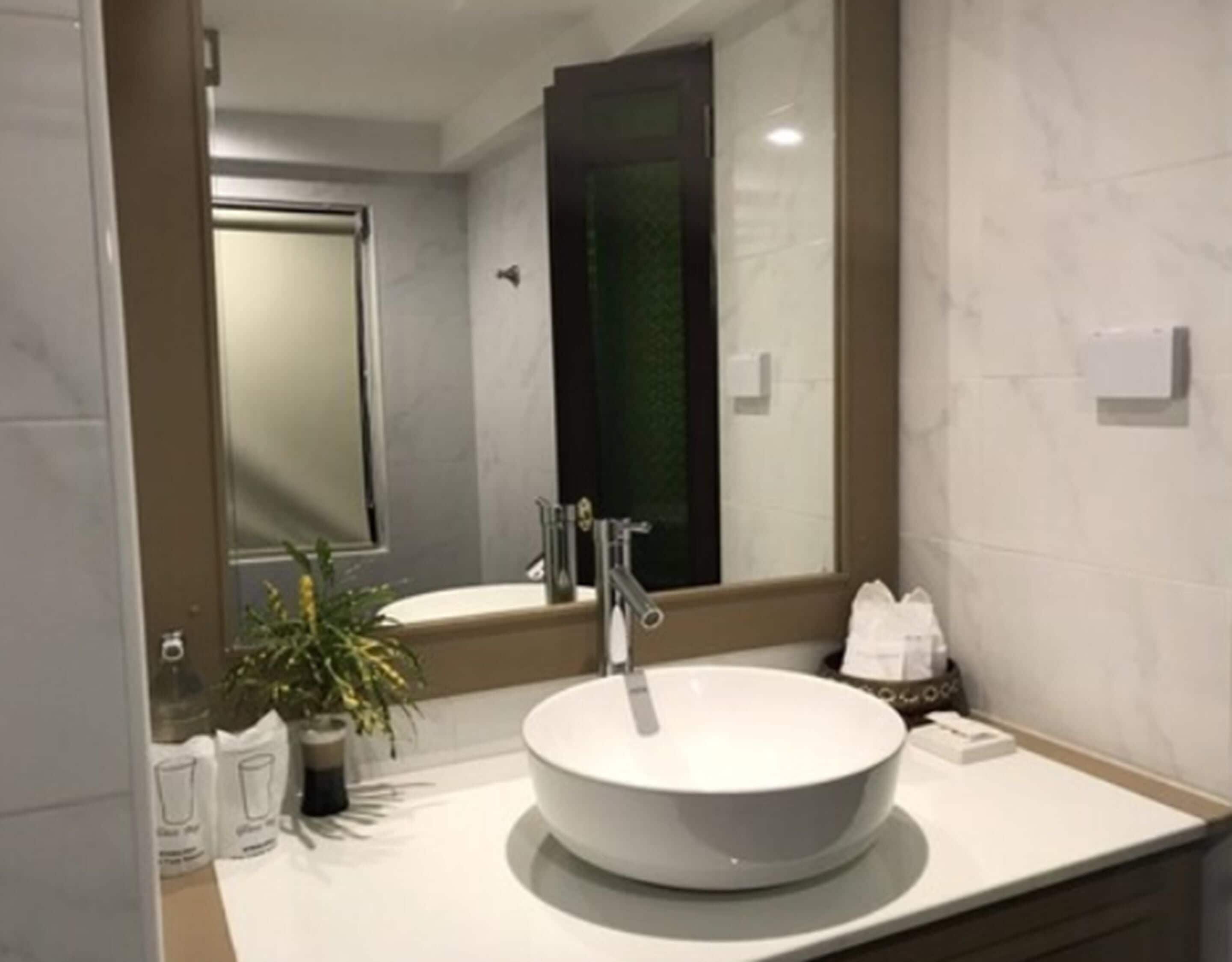 Une salle de bain moderne avec un lavabo rond blanc, un miroir et une plante en pot.
