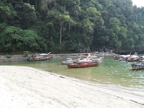 Boating - The Krabi Forest Homestay (Krabi)