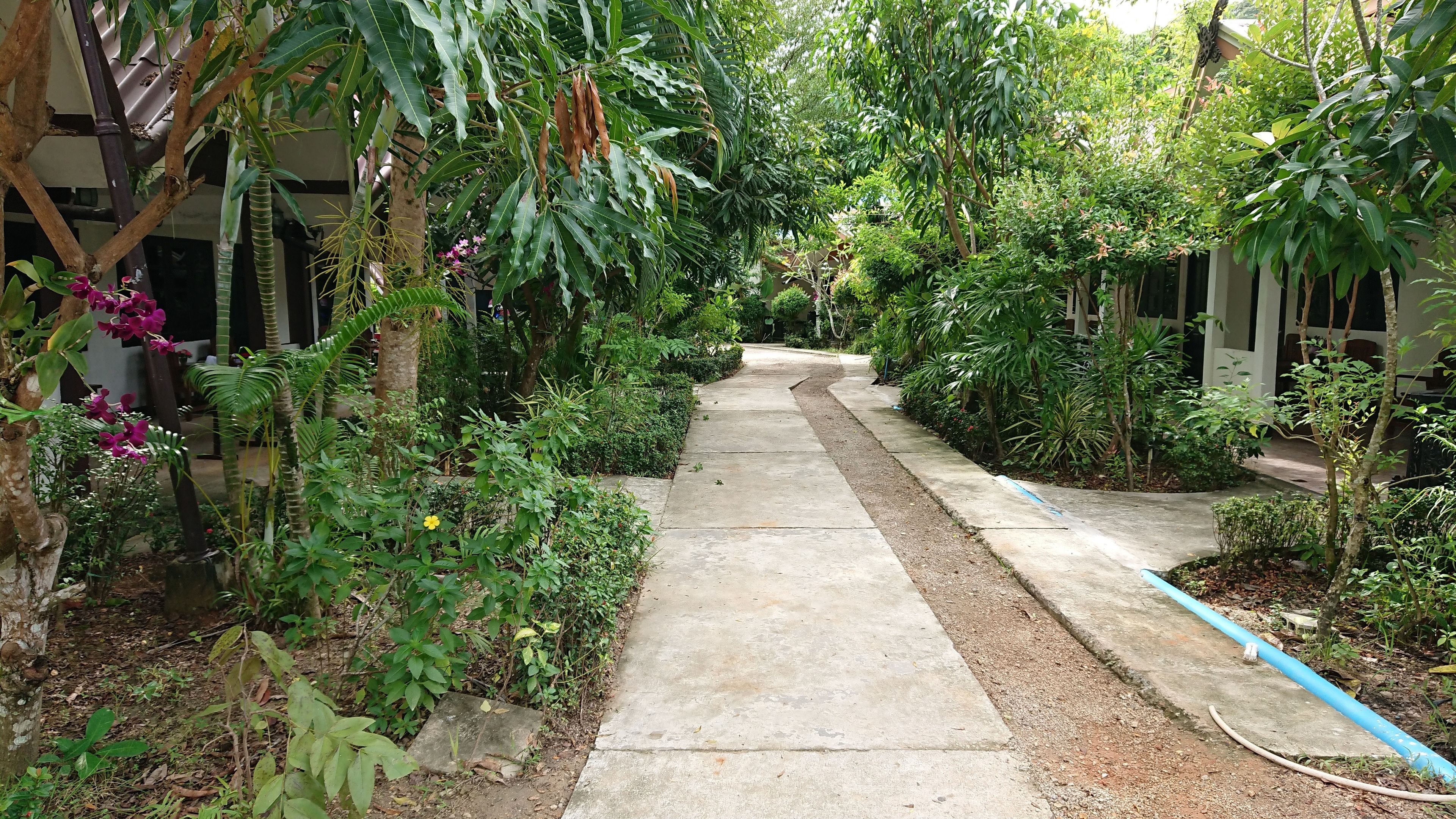Photo - The Krabi Forest Homestay