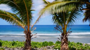 位於海灘上、衝浪