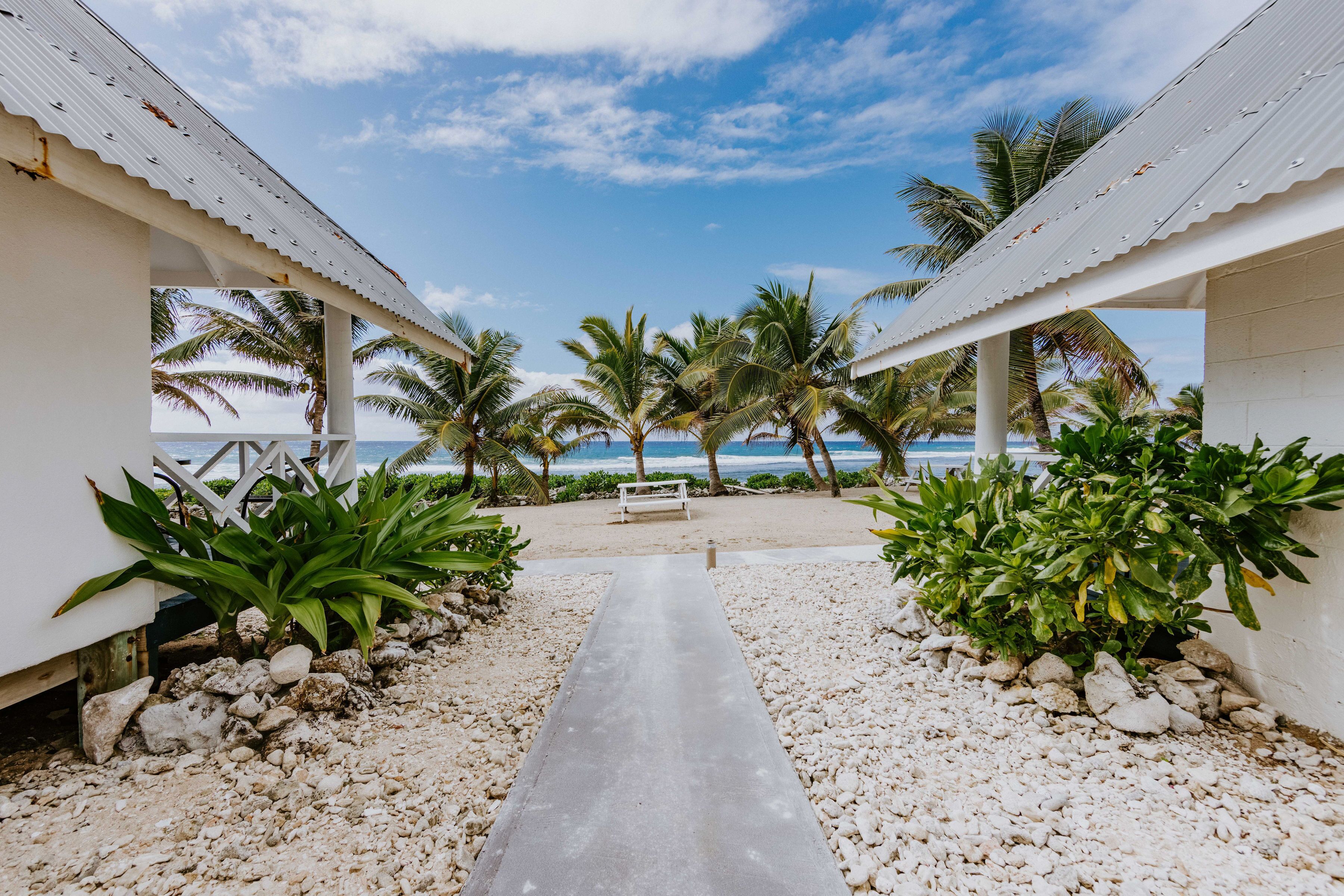 A pathway leading to a beach with palm trees and a bench.