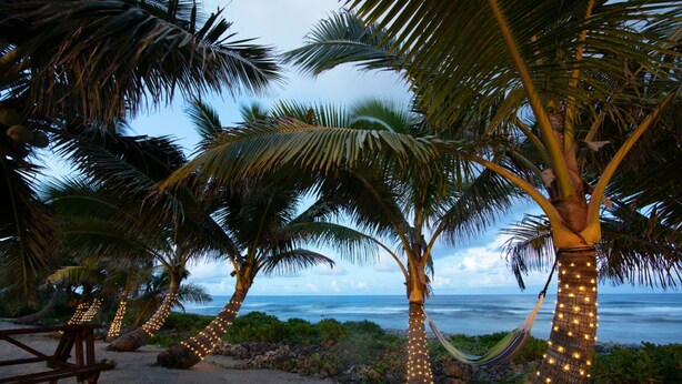 A beach scene with palm trees adorned with string lights, a hammock, and a wooden bench. - The Passage Villas (Rarotonga)