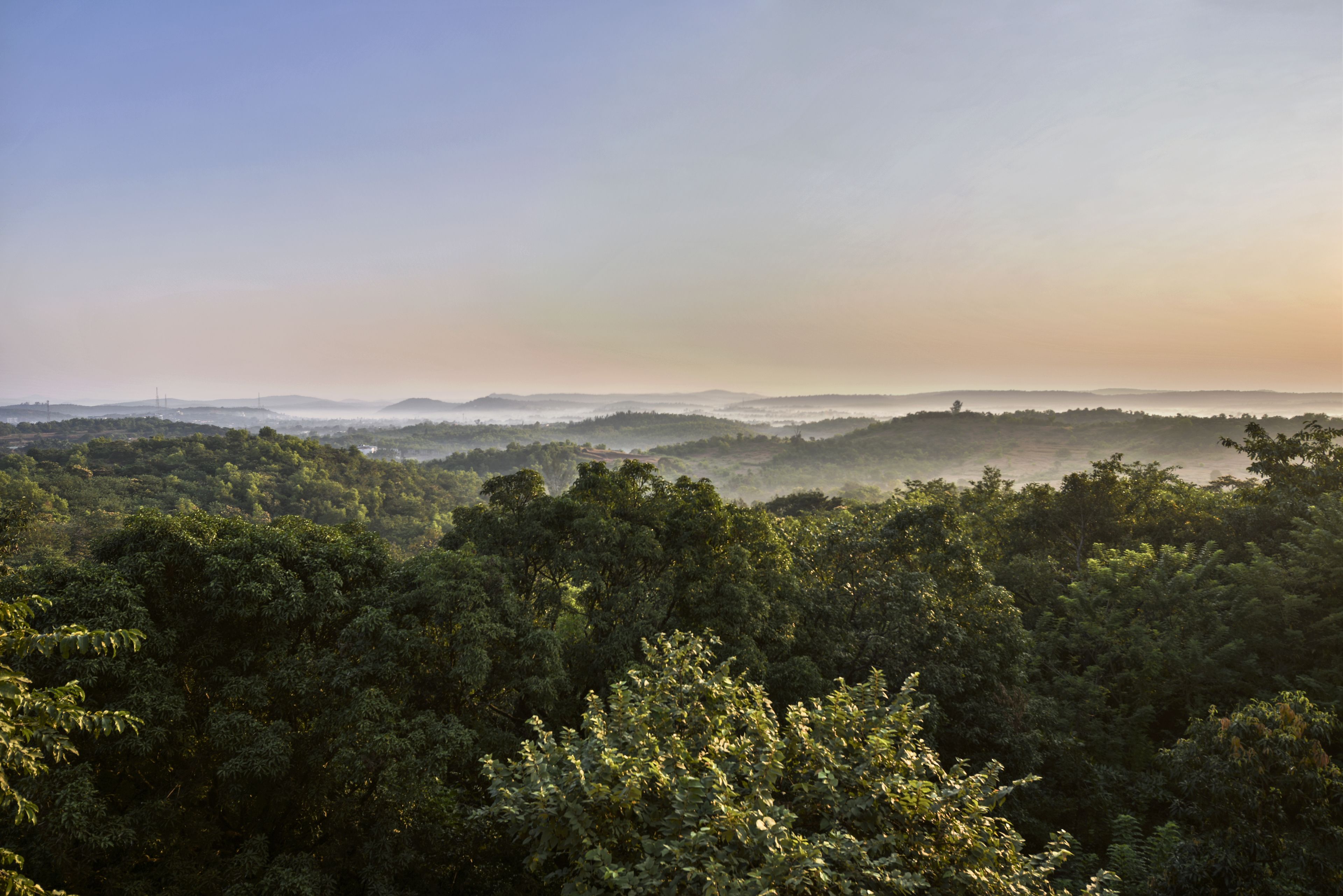 saffron suite | view from room