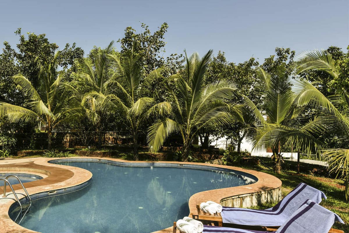 outdoor pool, pool loungers