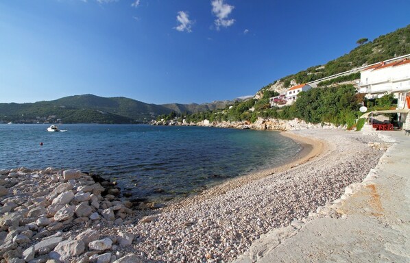 Plage à proximité, chaises longues, parasols, kayak