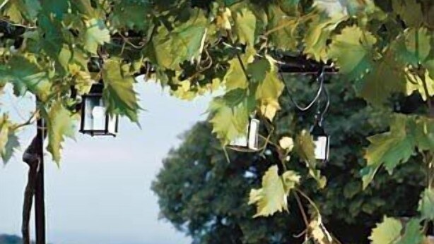 Un espacio de comedor al aire libre con mesas dispuestas para una comida, rodeado de vegetación y un muro de piedra.