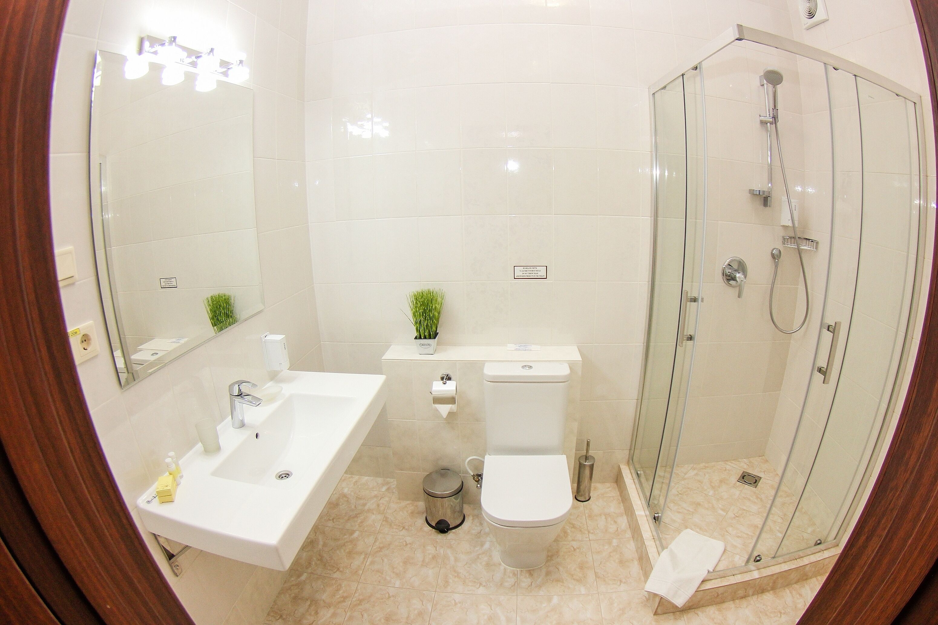 A modern bathroom with a glass-enclosed shower, a white sink, and a toilet.