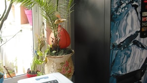Un espacio habitable reducido con refrigerador, un calentador pequeño y varias plantas en macetas.