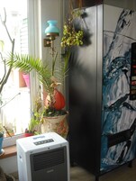 Un espacio habitable reducido con refrigerador, un calentador pequeño y varias plantas en macetas.