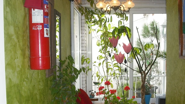 Un pasillo con paredes verdes, un extintor, un reloj, una silla de madera y plantas en macetas.