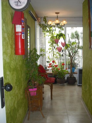 Un pasillo con paredes verdes, un extintor, un reloj, una silla de madera y plantas en macetas.