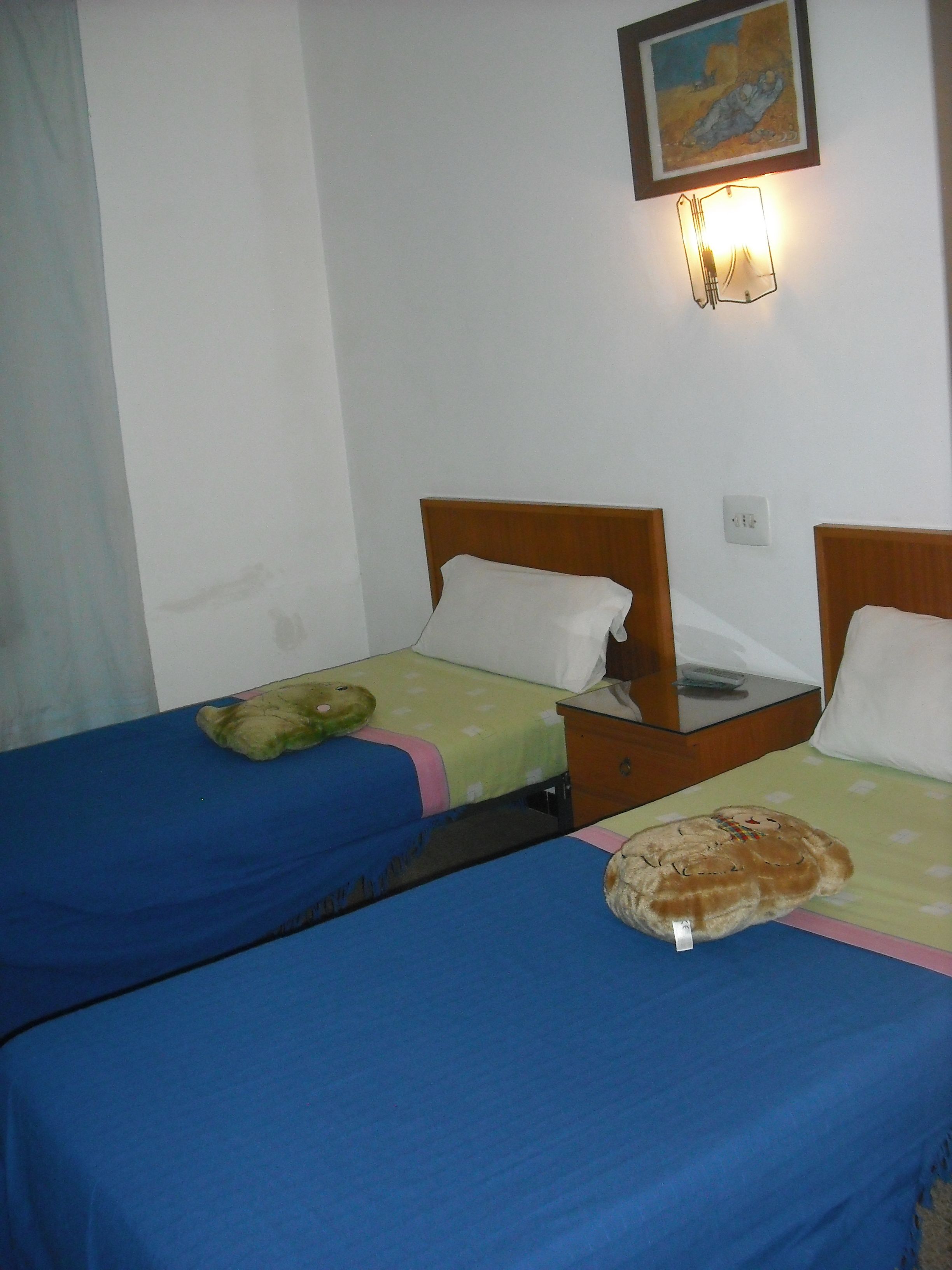 Habitación doble con dos camas individuales, cada una con una almohada y una manta. Hay una mesita de noche con una lámpara y un espejo pequeño.