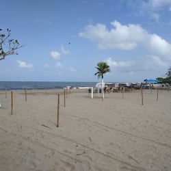 Beach/ocean view