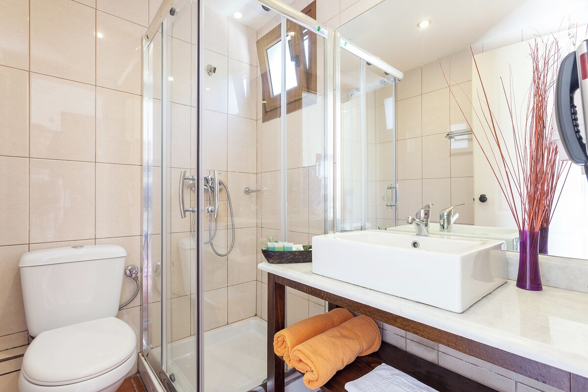 A modern bathroom with a glass shower enclosure, a white sink, and a toilet.