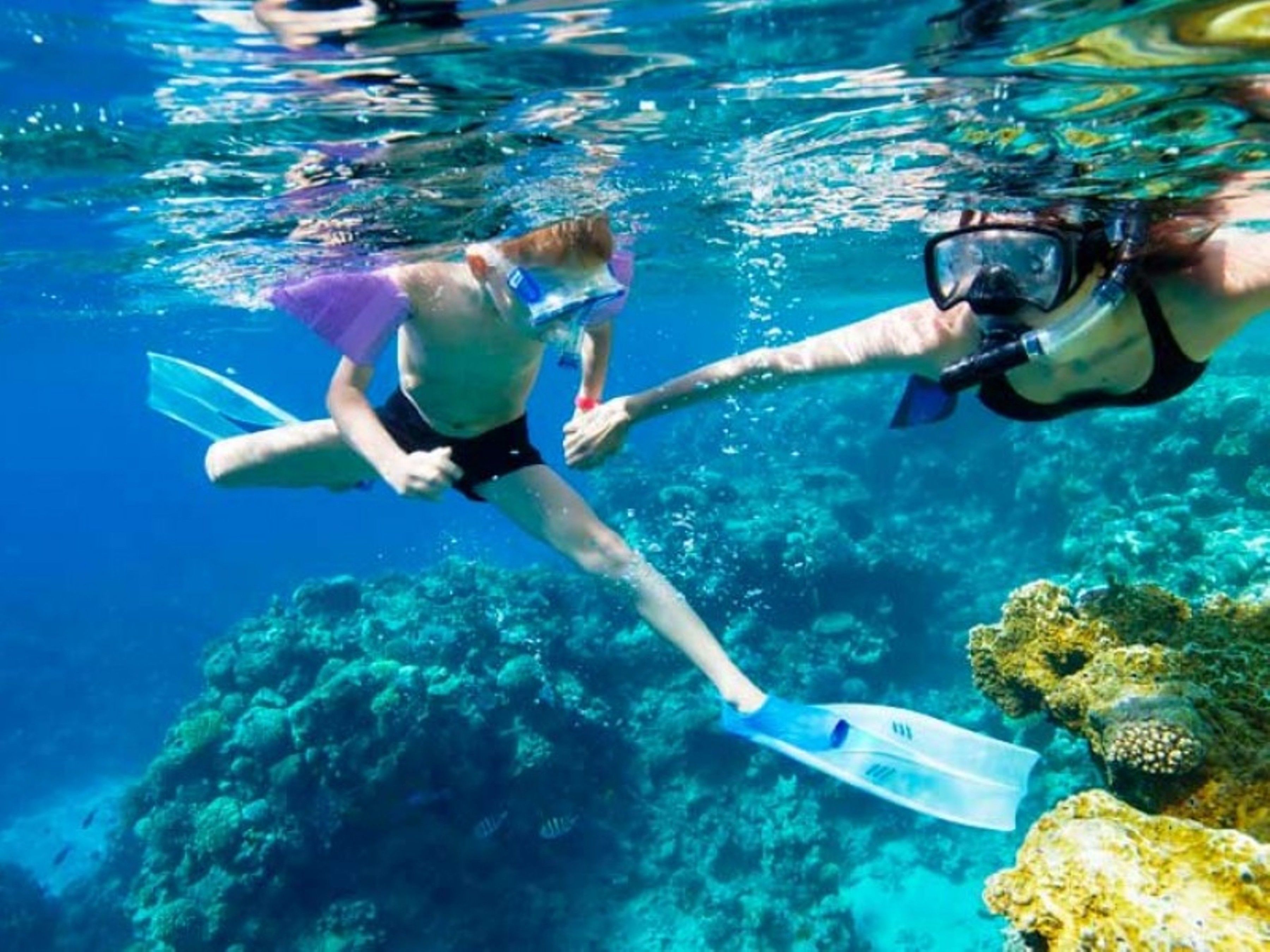 An underwater scene with divers exploring a coral reef.