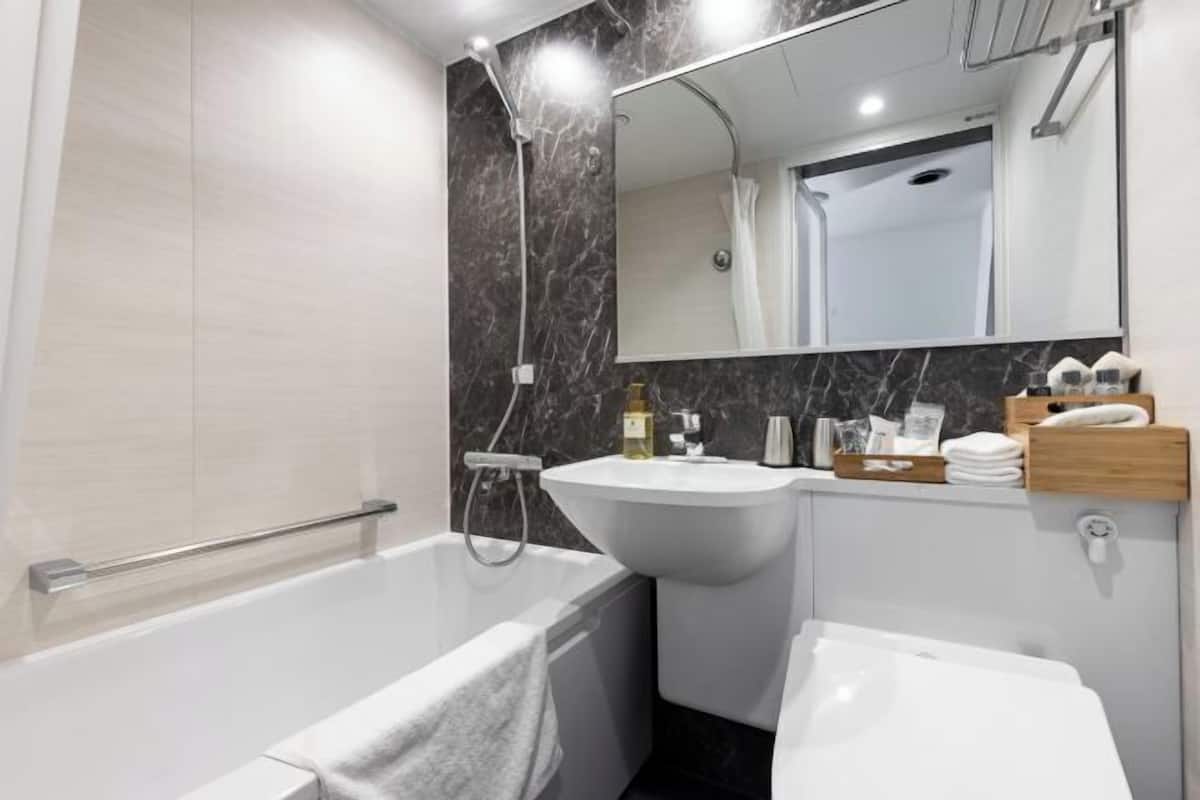 Free toiletries, hair dryer, slippers, bidet
