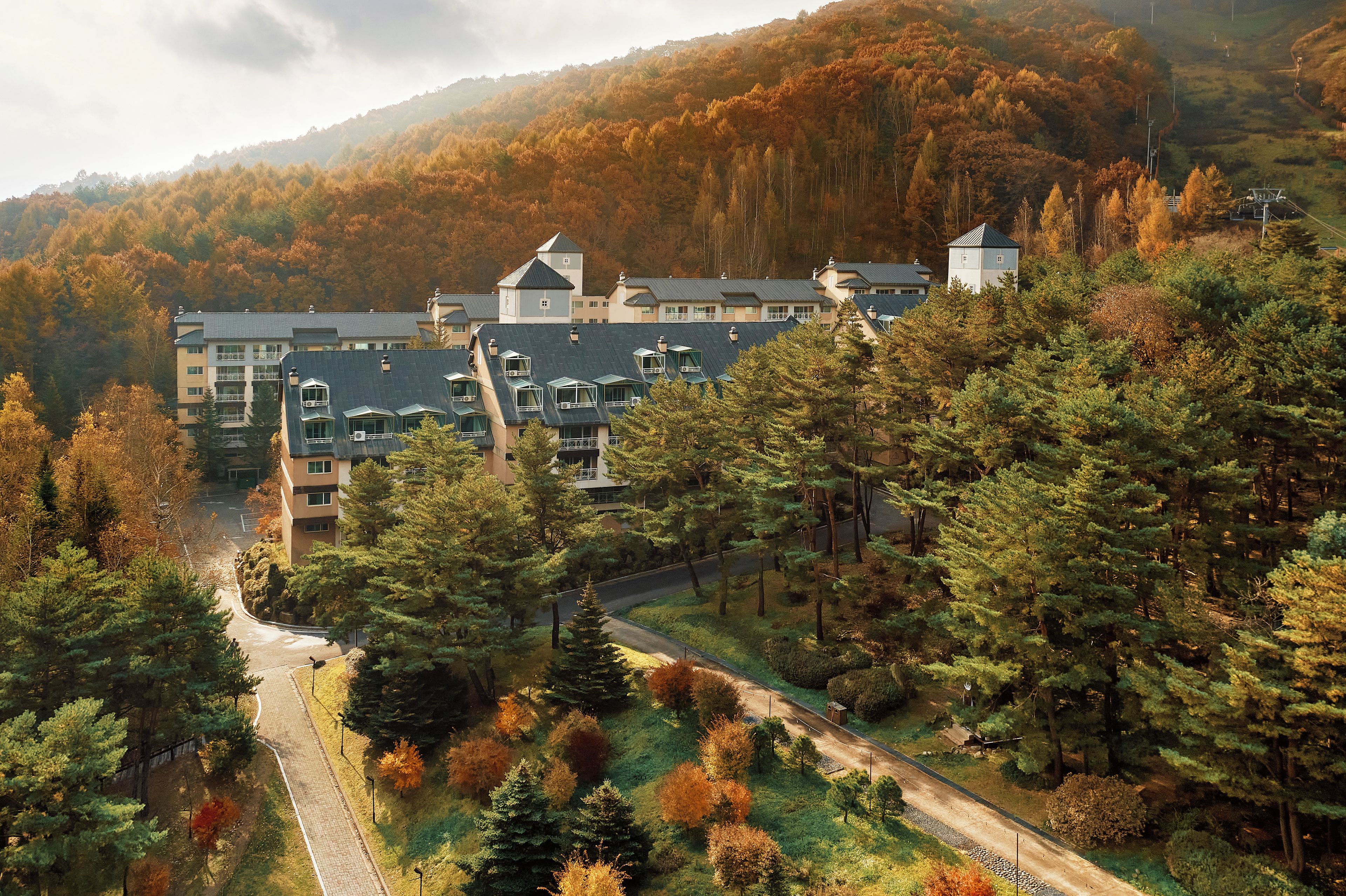 A multi-story building with a parking area and a road leading up to it, surrounded by trees.