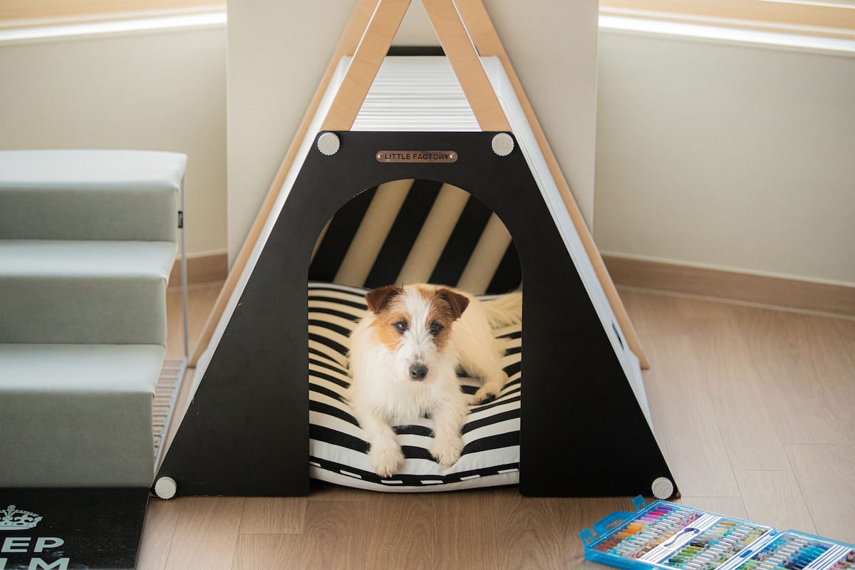 Ein Hund in einem schwarz-weiß gestreiften Hundehäuschen mit einem Schild, auf dem "LITTLE FACTORY" steht.