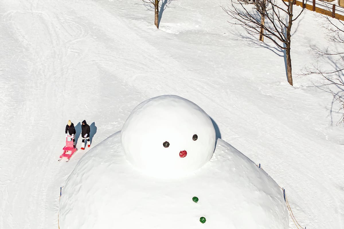 Couette en duvet d'oie, décoration personnalisée