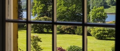 A view through a window with a grid pattern, displaying a landscape with a lake, trees, and a grassy area.