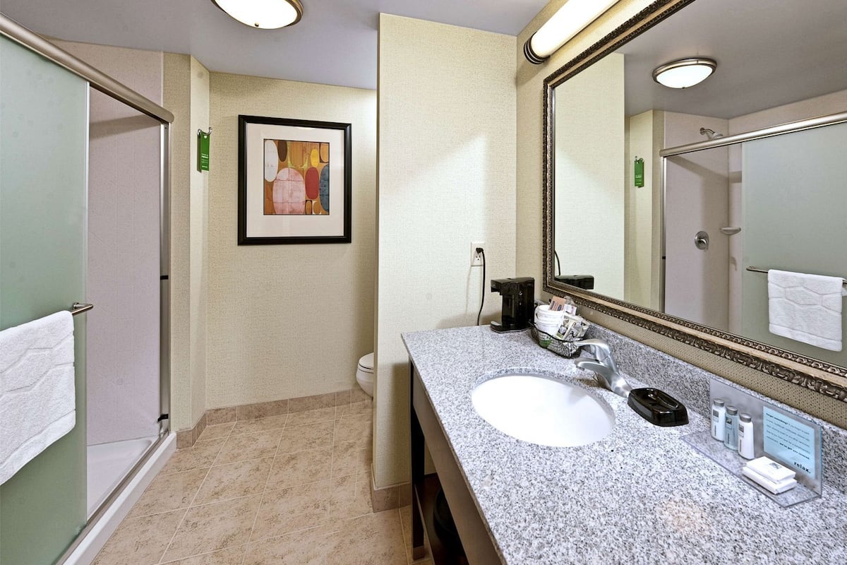 Bathroom | Combined shower/tub, free toiletries, hair dryer, towels