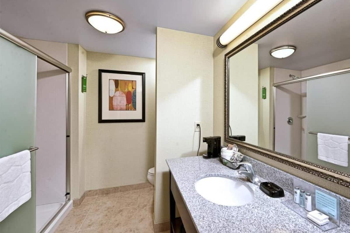 Bathroom | Combined shower/tub, free toiletries, hair dryer, towels