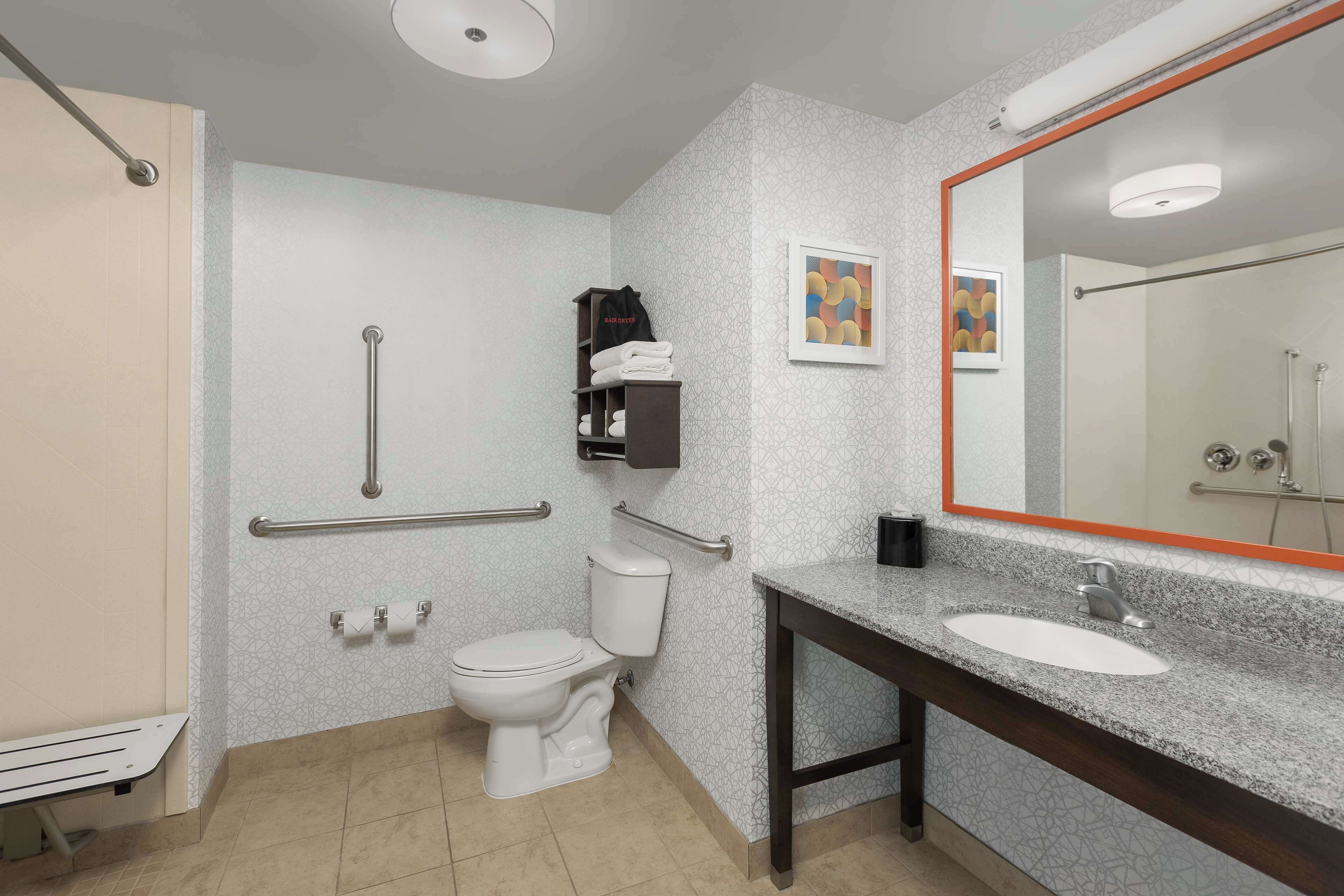 room, accessible, non smoking | bathroom shower