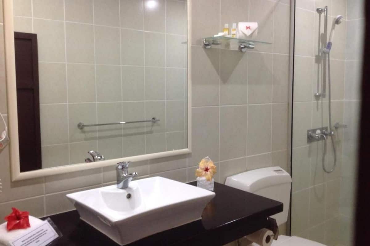 shower, free toiletries, hair dryer, towels