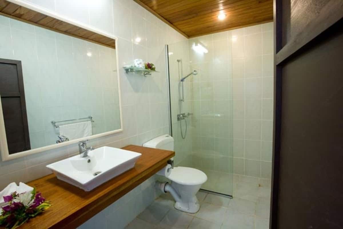 shower, free toiletries, hair dryer, towels