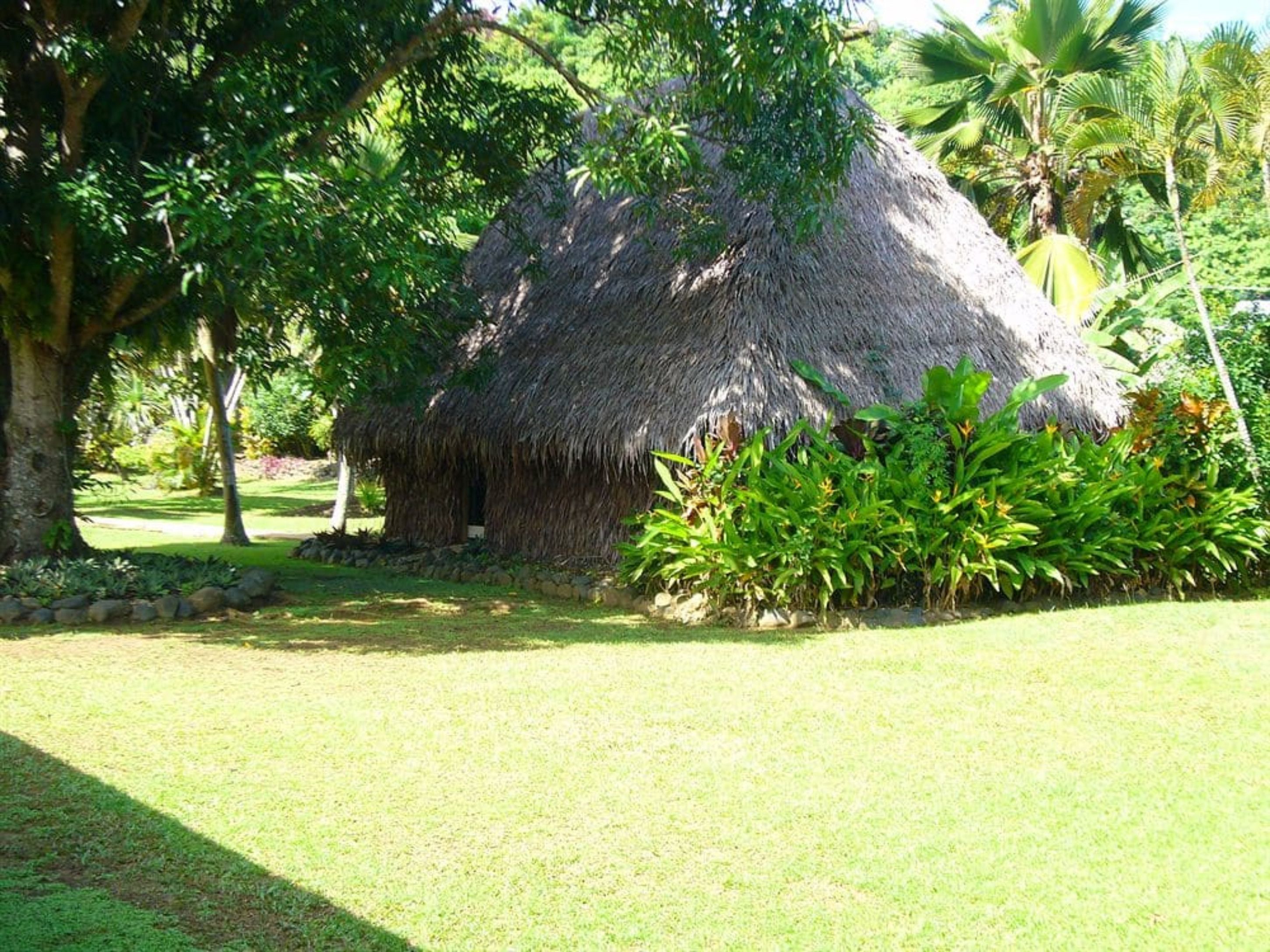 A thatched-roof hut surrounded by lush greenery and palm trees.