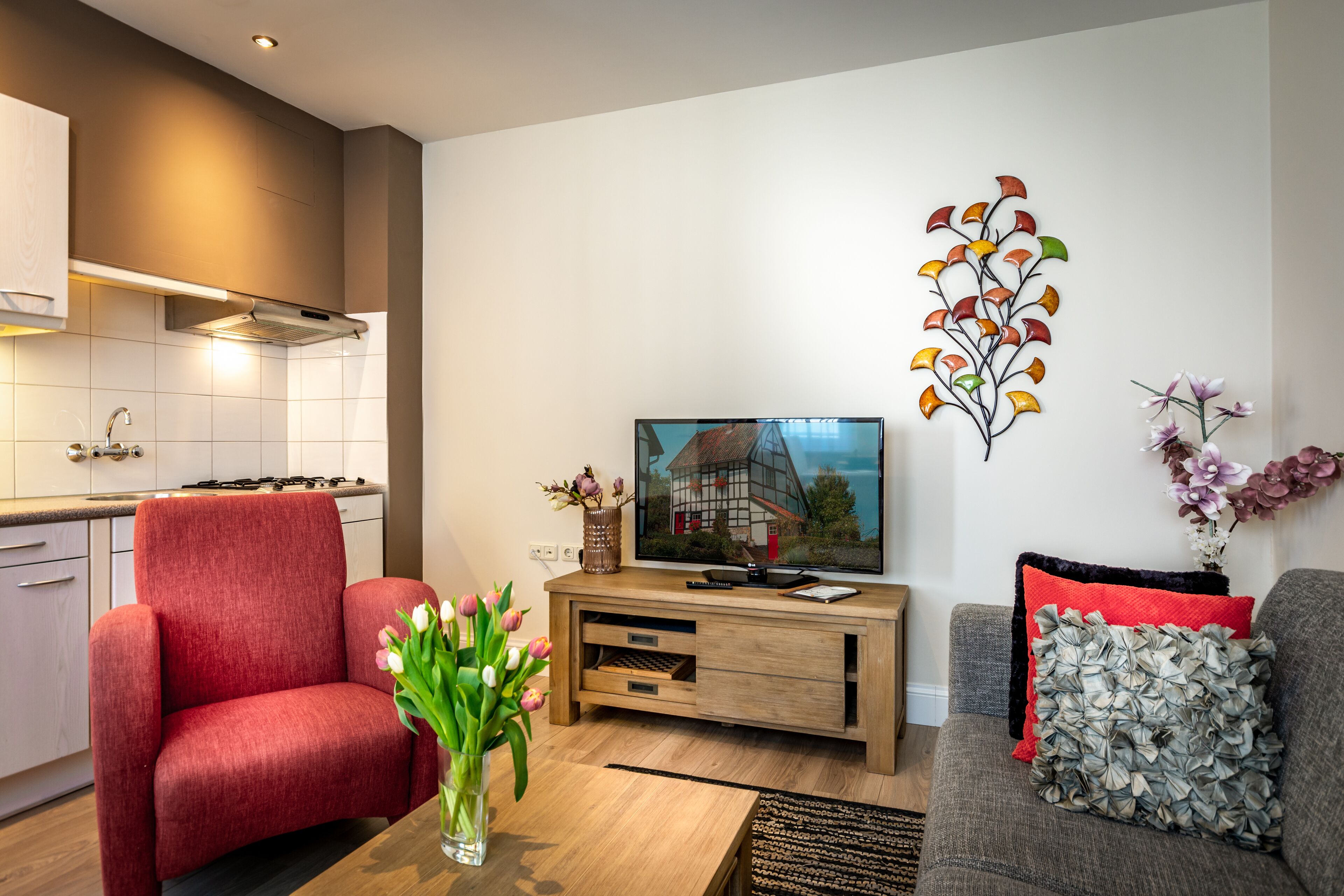 deluxe apartment, 1 bedroom, kitchen | living area