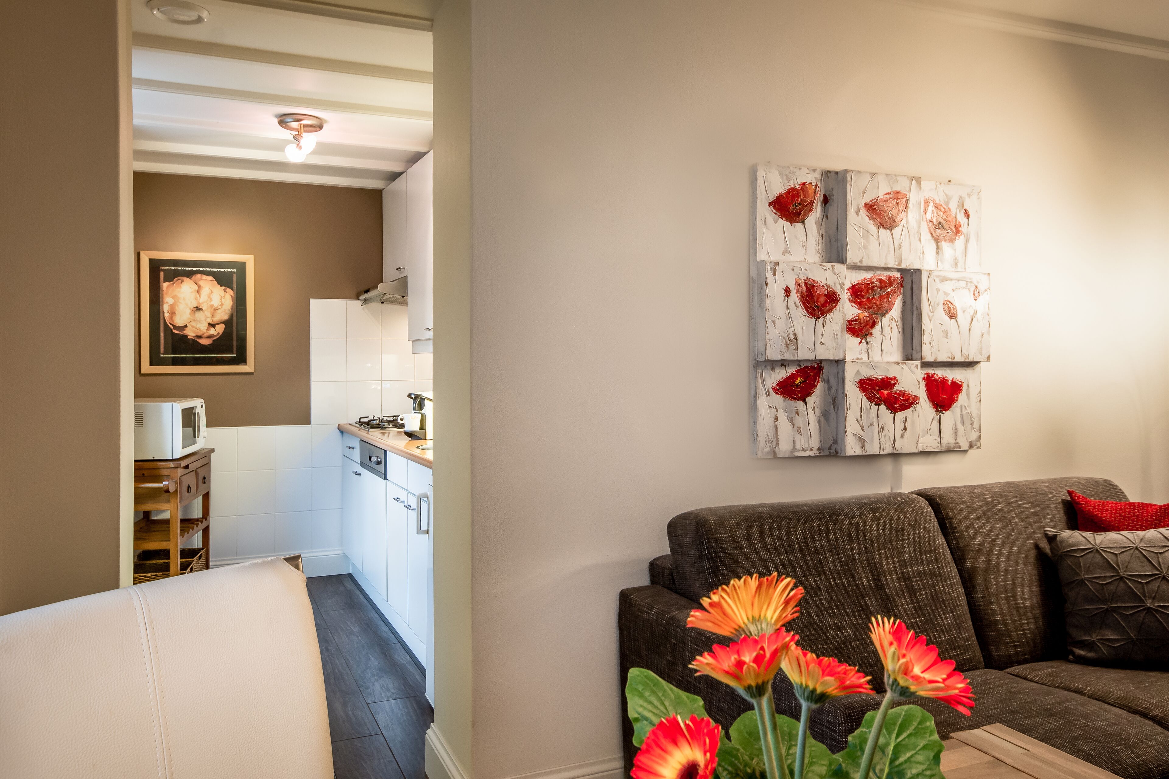 premium apartment | living area