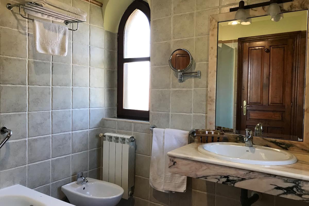 shower, free toiletries, hair dryer, towels