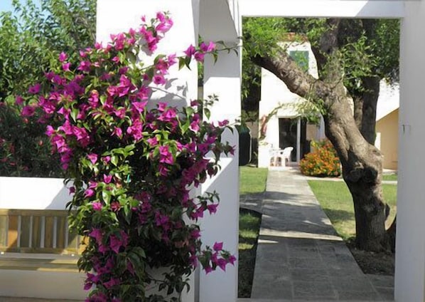 Un bâtiment blanc doté d’un balcon et d’un jardin orné de bougainvilliers.