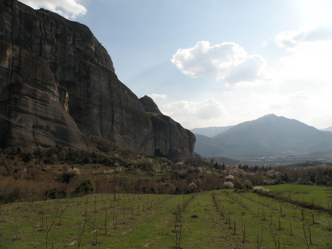 A vineyard with rows of grapevines and a large rock formation in the background.