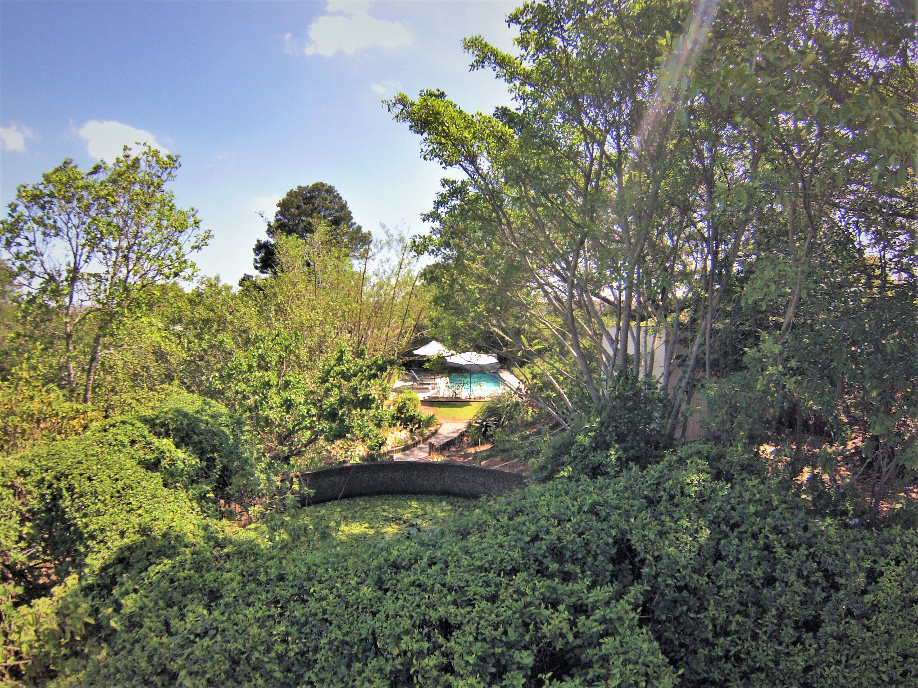A lush garden with dense foliage and a building with a blue roof in the background.