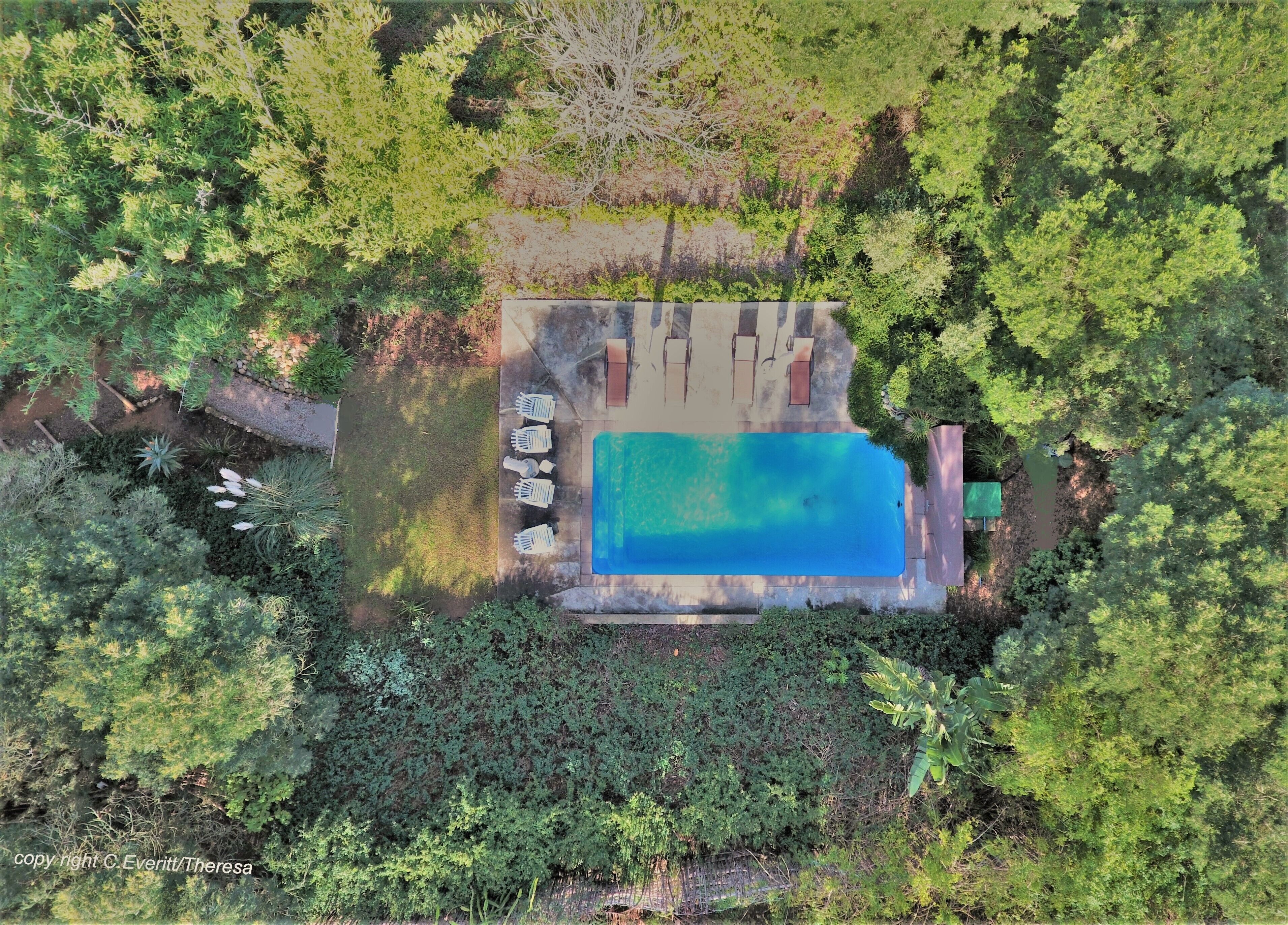 An aerial view of a property with a rectangular swimming pool surrounded by a deck area with lounge chairs and a small patio.