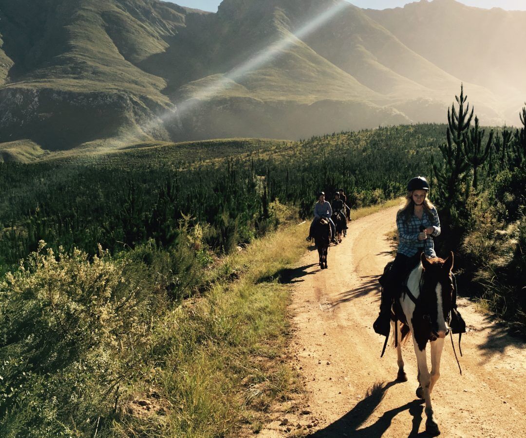 A dirt path with riders on horseback, surrounded by greenery and mountains.