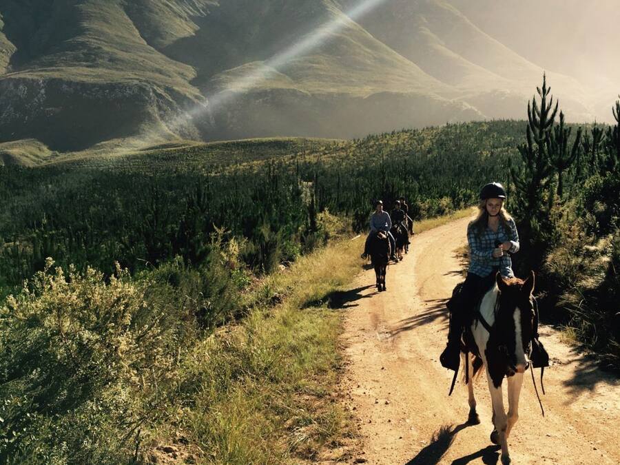 A dirt path with riders on horseback, surrounded by greenery and mountains.