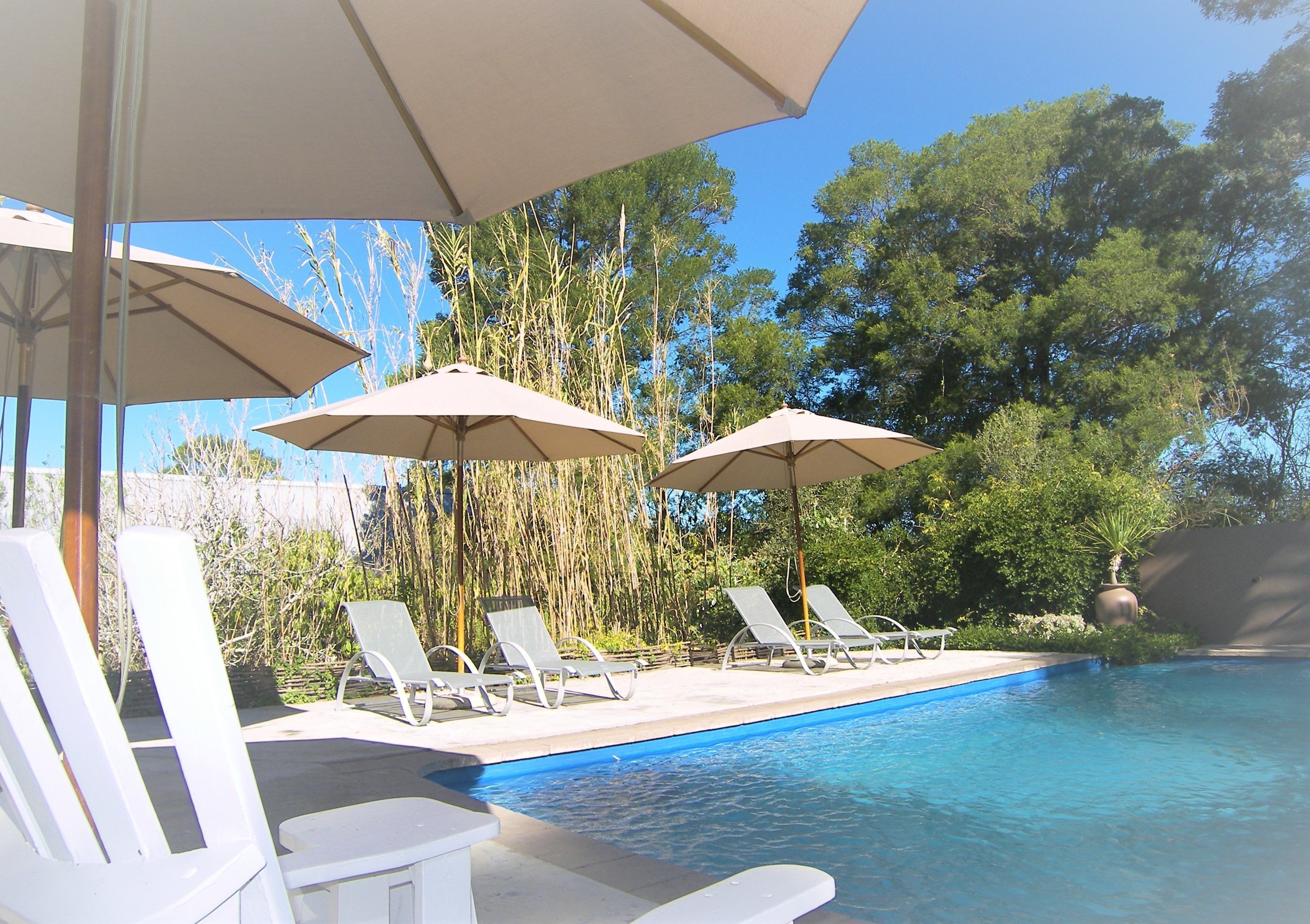 Outdoor pool, pool umbrellas, pool loungers