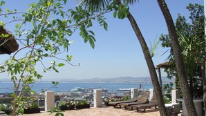 Pool - Bluegum Hill Guesthouse & Apartments (Cape Town)