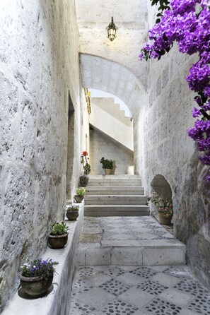 Una estrecha escalera de piedra flanqueada por macetas con plantas, que conduce a un arco de entrada.