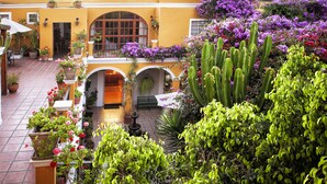 A courtyard with potted plants, a fountain, and a building with yellow walls and arches. - La Hostería (Arequipa)