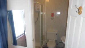 Une salle de bain avec des toilettes, une douche et un miroir.